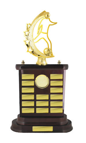 F24-3406DK : Timber Buildup Football