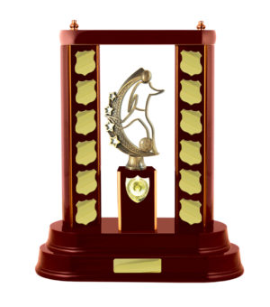 F24-3410WG : Timber Buildup Aussie Rules