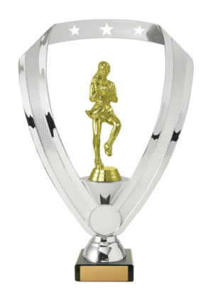 N24-2005 : Netball Fig. on Base