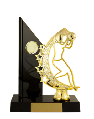 N24-2201DK : Timber Buildup Netball