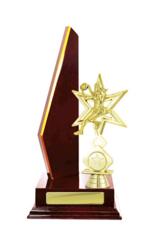 N24-2206CH : Timber Buildup Netball