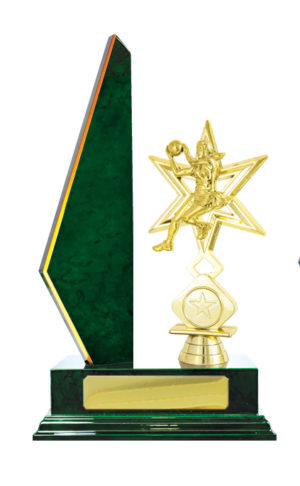 N24-2206GN : Timber Buildup Netball