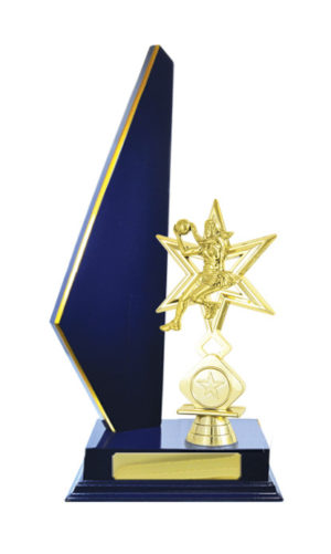 N24-2206RB : Timber Buildup Netball