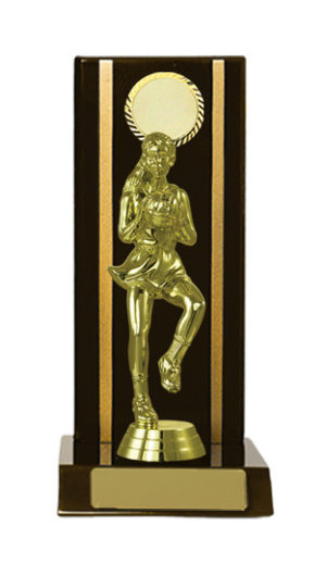 N24-2211DK : Timber Buildup Netball