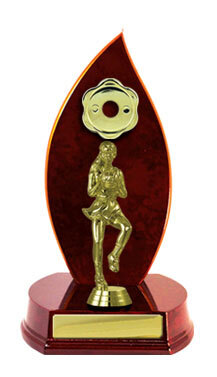 N24-2301CH : Timber Buildup Netball