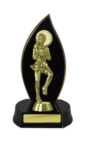 N24-2301DK : Timber Buildup Netball