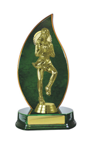 N24-2301GN : Timber Buildup Netball