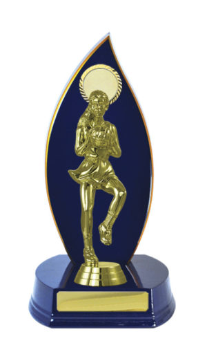 N24-2301RB : Timber Buildup Netball