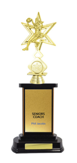 N24-2309DK : Timber Buildup Netball