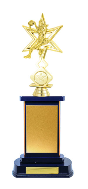 N24-2309RB : Timber Buildup Netball