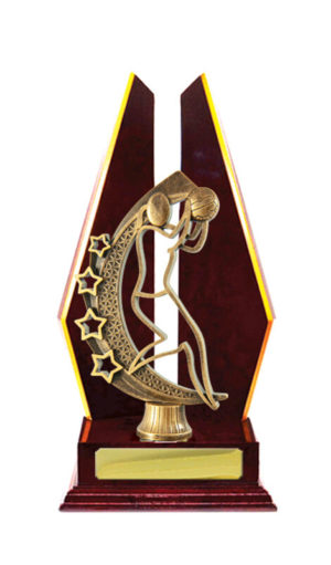 N24-2318CH : Timber Buildup Netball