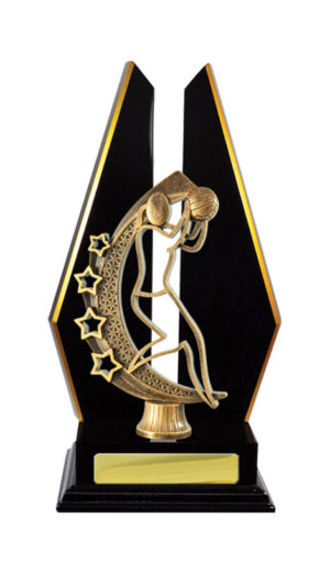 N24-2318DK : Timber Buildup Netball