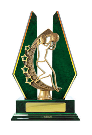 N24-2318GN : Timber Buildup Netball