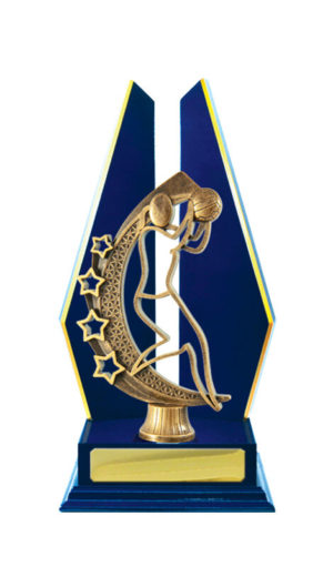 N24-2318RB : Timber Buildup Netball