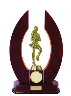 N24-2401CH : Timber Buildup Netball