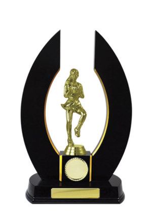 N24-2401DK : Timber Buildup Netball