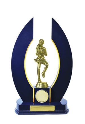 N24-2401RB : Timber Buildup Netball