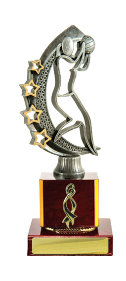 N24-2408CH : Timber Buildup Netball