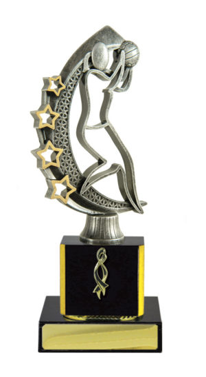 N24-2408DK : Timber Buildup Netball