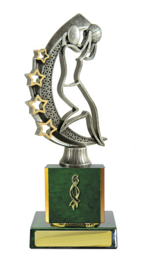 N24-2408GN : Timber Buildup Netball