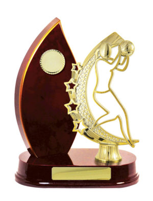 N24-2413CH : Timber Buildup Netball