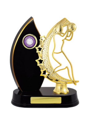 N24-2413DK : Timber Buildup Netball