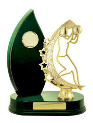 N24-2413GN : Timber Buildup Netball