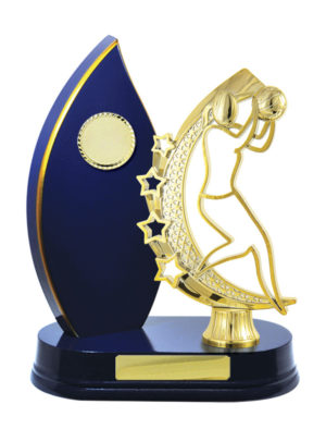 N24-2413RB : Timber Buildup Netball