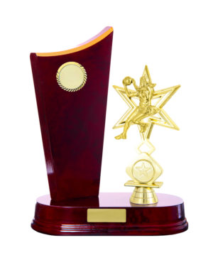 N24-2505CH : Timber Buildup Netball