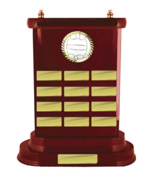 N24-2604WG : Timber Buildup Netball