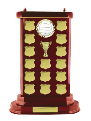 N24-2605WG : Timber Buildup Netball