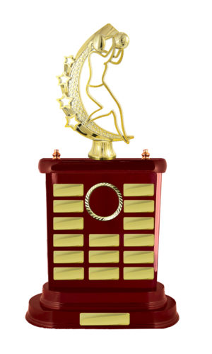 N24-2606WG : Timber Buildup Netball