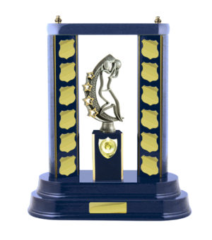 N24-2611RB : Timber Buildup Netball