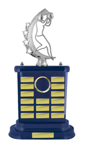 N24-2614RB : Timber Buildup Netball