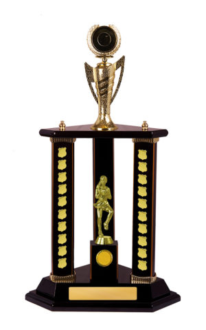 N24-2713DK : Timber Buildup Netball