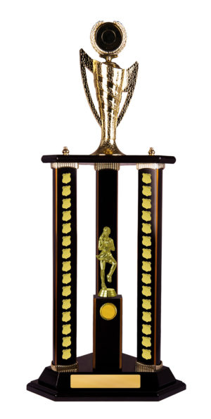 N24-2714DK : Timber Buildup Netball