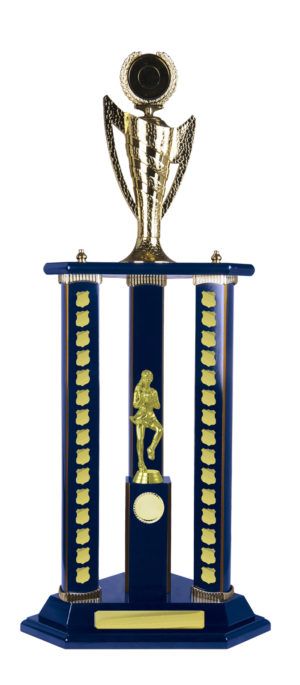 N24-2714RB : Timber Buildup Netball