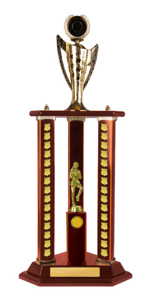 N24-2714WG : Timber Buildup Netball