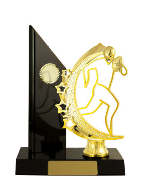 R24-2301DK : Timber Buildup Rugby