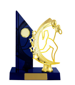 R24-2301RB : Timber Buildup Rugby