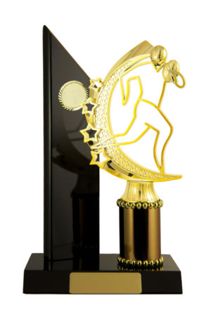 R24-2303DK : Timber Buildup Rugby