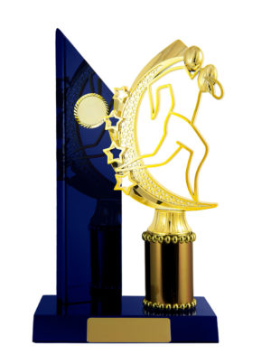 R24-2303RB : Timber Buildup Rugby