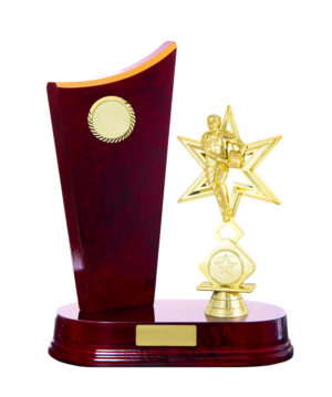 R24-2605CH : Timber Buildup Rugby