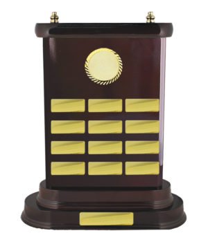 R24-2704DK : Timber Buildup Rugby