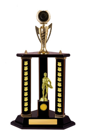 R24-2814DK : Timber Buildup Rugby