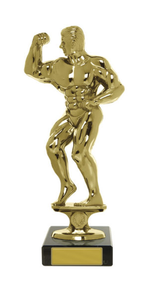 S24-11801 : Bodybuilder Male Figure on Base