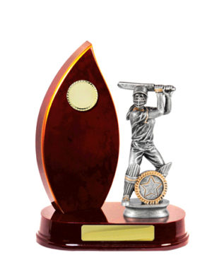 S24-13013CH : Timber Buildup Cricket