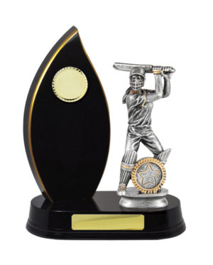 S24-13013DK : Timber Buildup Cricket