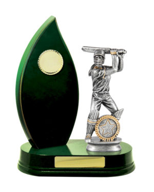 S24-13013GN : Timber Buildup Cricket