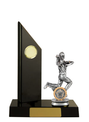 S24-13016DK : Timber Buildup Cricket